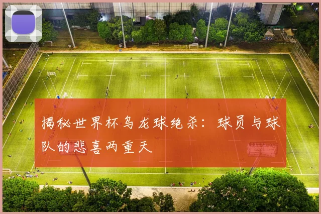 揭秘世界杯乌龙球绝杀：球员与球队的悲喜两重天