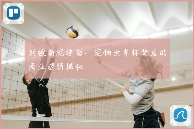 别被萌宠迷惑，宠物世界杯背后的商业逻辑揭秘