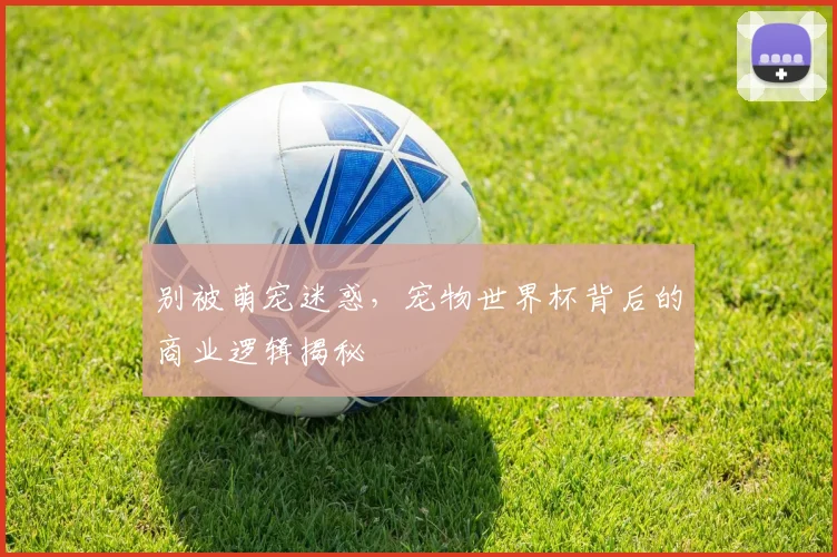 别被萌宠迷惑，宠物世界杯背后的商业逻辑揭秘